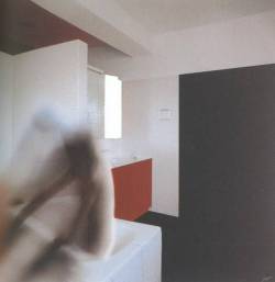 voltra:  Bathroom fig.1, 1997, by Richard Hamilton.