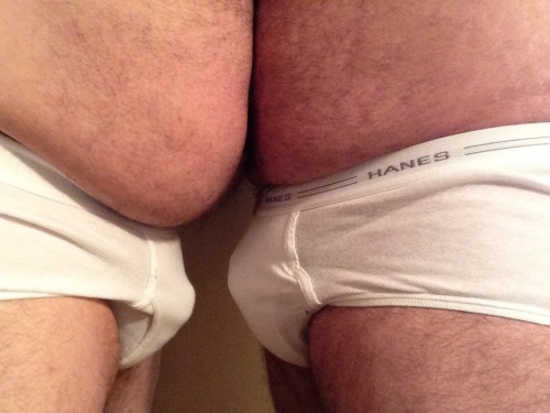 baterbear:  Got my boy to wear some Hanes briefs today.   Bear and cub in tighty whities. Woof