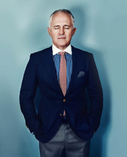 grayandwise:  The beauty of Malcolm Turnbull (Prime Minister