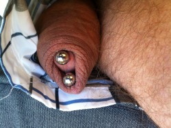 malegenitalmodsgalore:  malegenitalmodsgalore   Uncircumcised