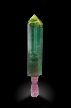 mineralists:  Bi-colored Tourmaline scepter from Pederneira claim,