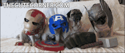 gifini:  For other gifs http://gifini.tumblr.com/