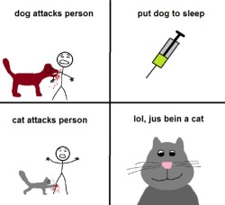 lol-post:  The real difference between cats and dogs…http://lol-post.tumblr.com/