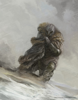 meanwhilebackinthedungeon:  Knight In A Snowstorm 