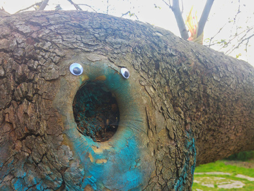 wilwheaton: archiemcphee:  With everything that’s going on in the world right now, googly eyes are more important than ever. The seemingly benign act of eyebombing, like these outstanding works by Bulgarian eyebomber Vanyu Krastev of Eyebombing Bulgaria,