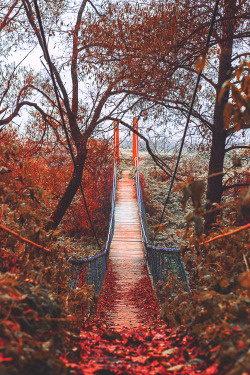 elvenlake: Autumn bridge