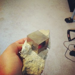 clayorey:  This is a perfect cube of pyrite, in its natural rocky