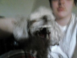 I tried to take a selfie with my dog and she sneezed