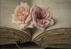 vintage books flower