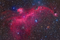just–space:  The Seagull Nebula  Photographed by Bob Franke