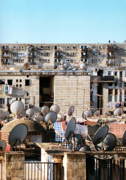 aqqindex:  Kader Attia, Satellite Dishes, 2009