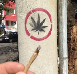 Local de Paz!