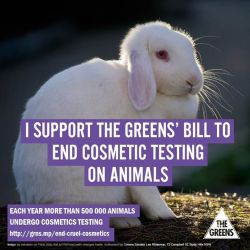 veganmakeup:  The Greens believe that no animal should suffer