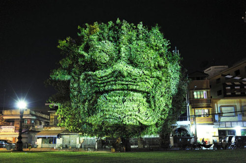 sixpenceee:Haunting 3D Projections onto trees by Clement Briend. He says, “I always wanted to photograph the world without it being too faithful to what it is. I always imagined devices that can transform and intervene with the light in things that