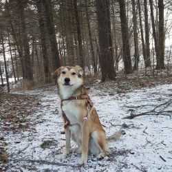 Little Boo and I went on a short hike around Cobbs Hill Park