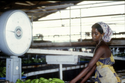 lifeofasomali:  Somali woman at work wearing guntiino and shaash.