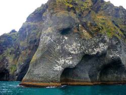 bl-ossomed:  natural rock formation on Heimaey, Iceland, called
