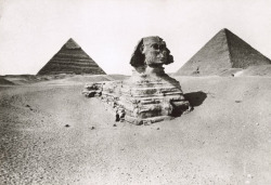 humanoidhistory:  The Great Sphinx and pyramids at Giza, Egypt,