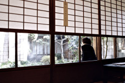 japanesecontent: L1012364 (by mm_1345) 