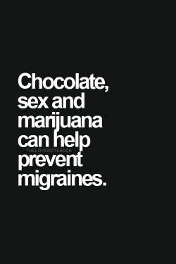 motherfvckingillest:  CHOCOLATE x SEX x MARIJUANA