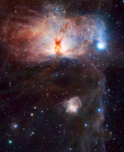 the-wolf-and-moon:  The Flame Nebula, Sparks and Fire