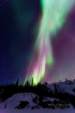 earthandanimals:  Northern lights near Yellowknife, Northwest