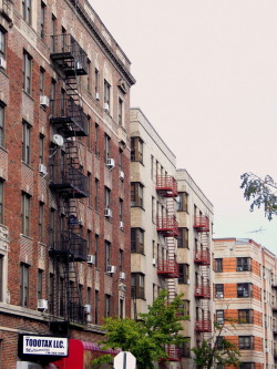 wanderingnewyork:Apartment houses in Mount Hope, the Bronx.