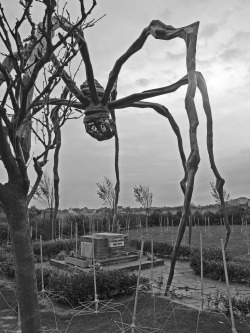 dappledwithshadow:The grave of James Ensor guarded by Maman (by