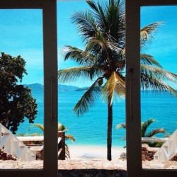 luxurylearry:  💗