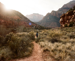 brianflaherty:  Zion National Park, UT, 2015 