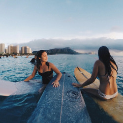 asurferdreams:  Surfing posts