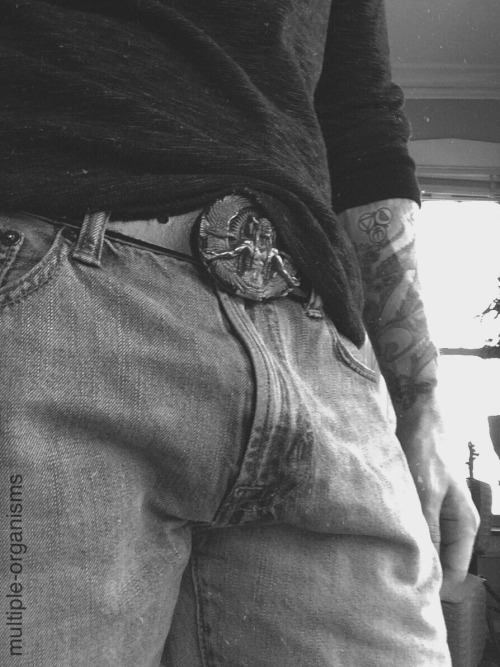 multiple-organisms:  These jeans accentuate the bulge