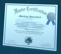 ocelotlover:  Found that certificate while searching MGS stuff