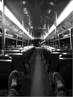 wonderlandnowhere:                                                          