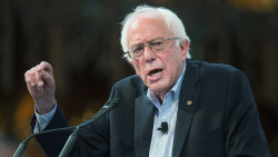 clickholeofficial:  Sorry Bernie Bros, Your Candidate Just Doesn’t