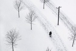 ryanryancullen: From above |  Northeastern University, Boston,