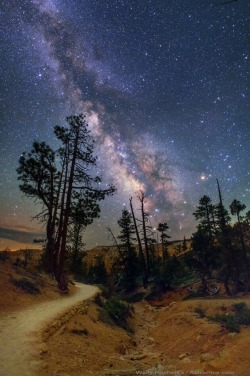 thedemon-hauntedworld:  The Milky Trail Image Credit & Copyright: