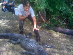 scienceing:  buttrisekingdom:  zach efron wrestling an alligator