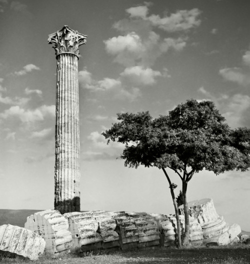 the-garrincha-universe:  GREECE. Athens. Temple of Olympian Zeus.