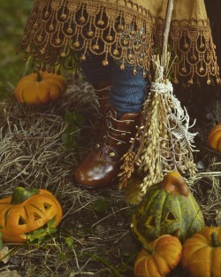 myheartissupernova:  Carina with a small herd of pumpkins.