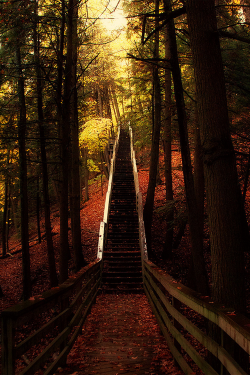 plasmatics-life:  The Stairway ~ By Mike Broadwater 