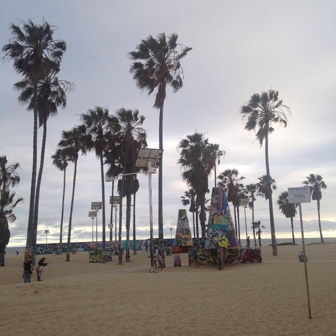 <p>at Venice Beach Ocean Front Walk</p>