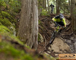 miketraplin:  miketraplin