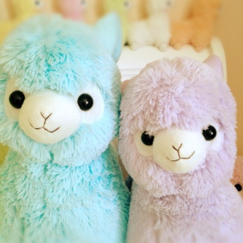 moccoe:  Rainbow macaroons  There’s like, a direct correlation between how many Alpacasso photos other post and how many mini tantrums I have. This is like being a kid and keeping on seeing ads for fancy, light up Polly Pockets and freaking out