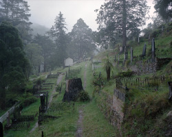 williambroadhurst: Walhalla Cemetery, VIC