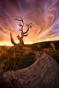 sublim-ature:  Lenticular Dimension by Marc Adamus 