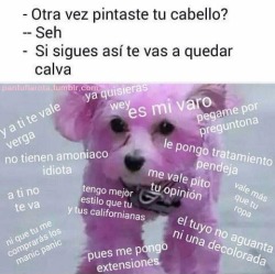 Pantufla💗Rota 