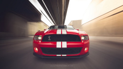 ford-mustang-generation:  Ford Mustang Shelby GT500 by Fionaphotobreizh