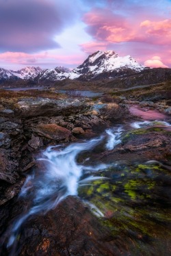 sundxwn: Pink Morning in Norway by Daniel F. 