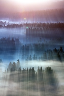 0rient-express:  Explosion of light | by Marcin Sobas | Facebook.